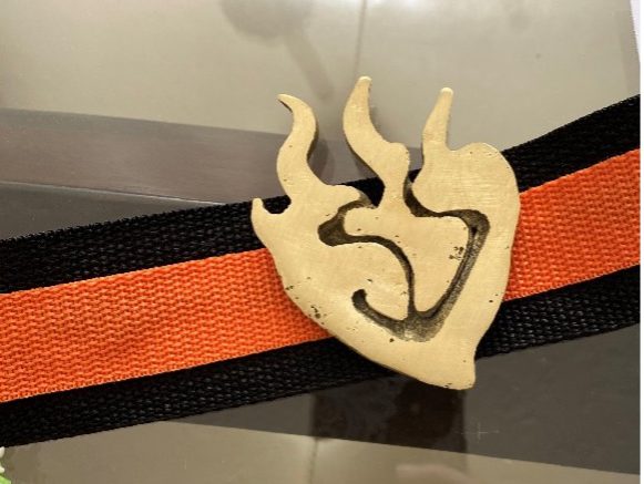 Finished, polished, brass buckle attached to the orange and black nylon webbed belt