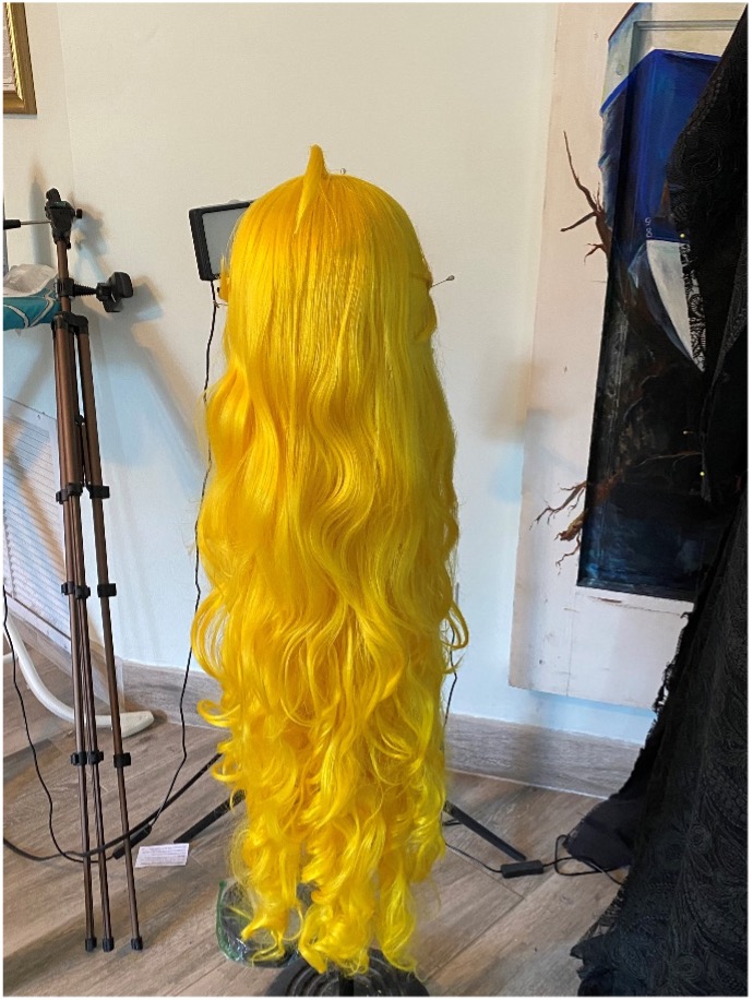 Photo of the back of the finished wig on the wig stand